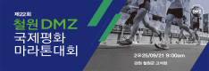 철원DMZ국제평화마라톤
